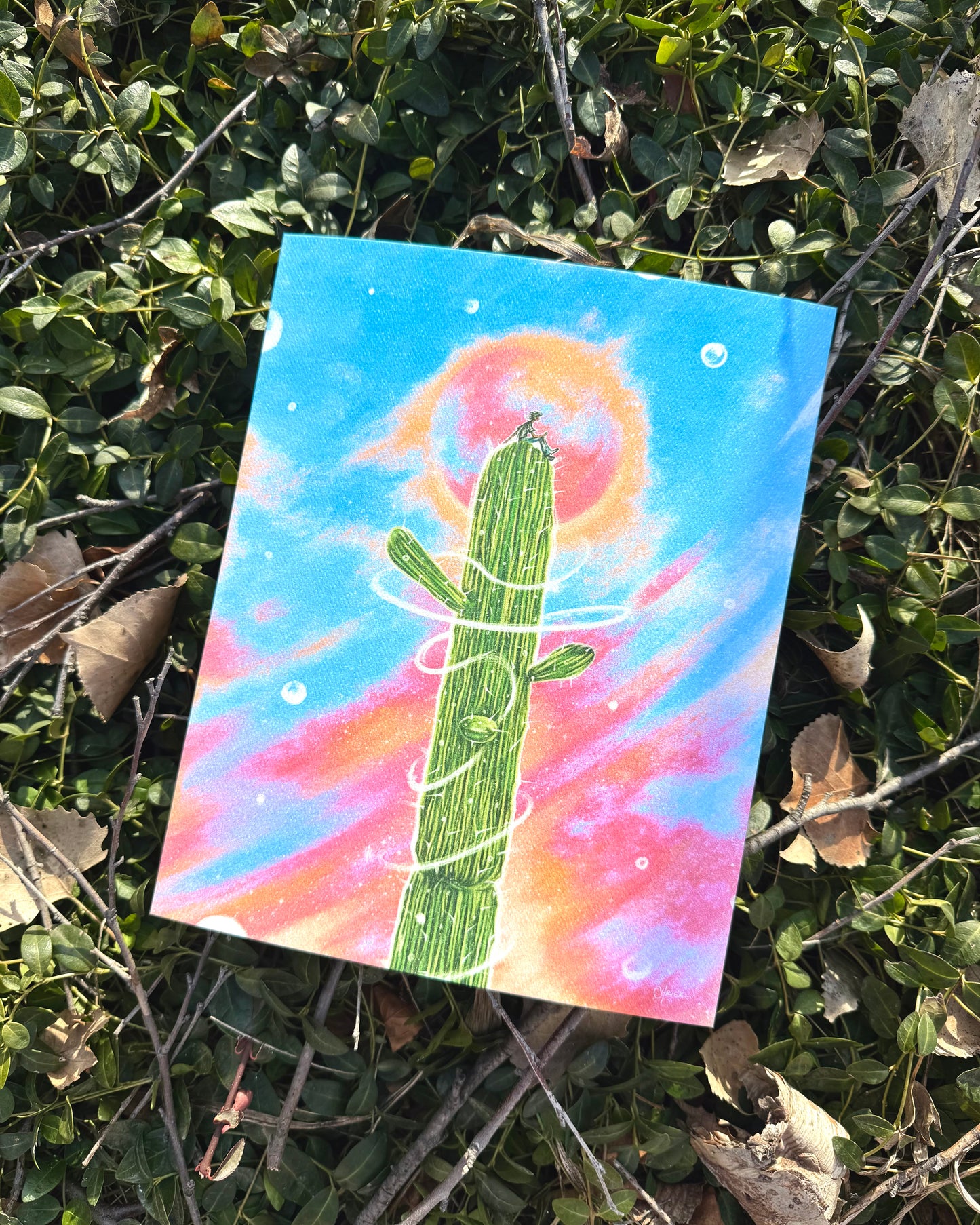 saguaro sunset - Limited Edition Art Print