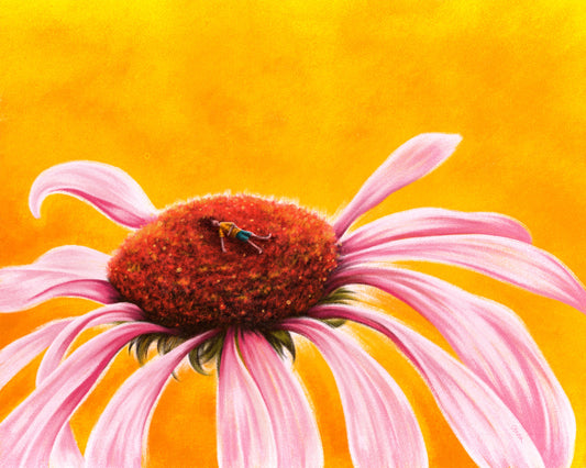 nature naps - Limited Edition Art Print