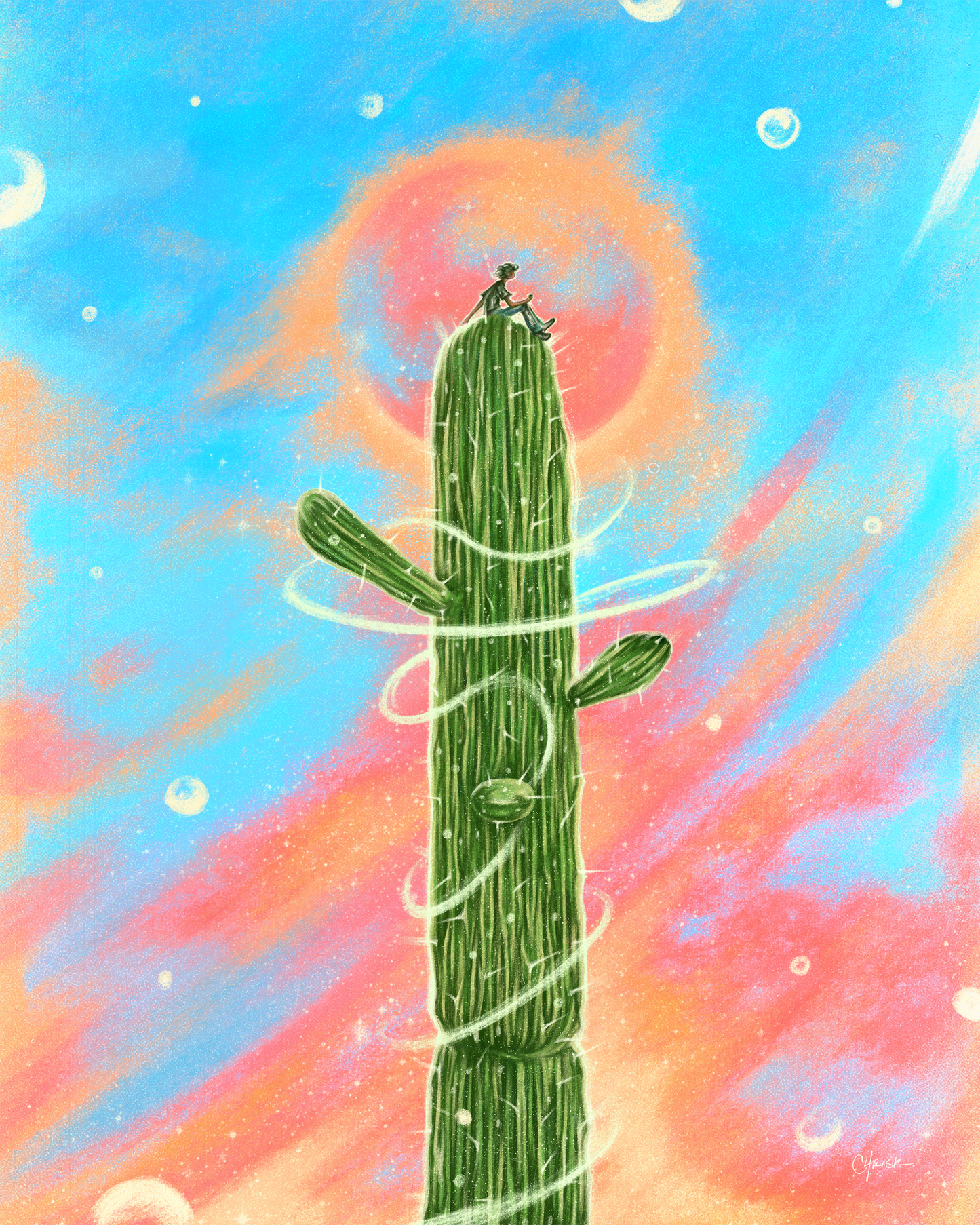 saguaro sunset - Limited Edition Art Print