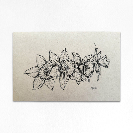 Ink Originals 34 "four daffodils study"