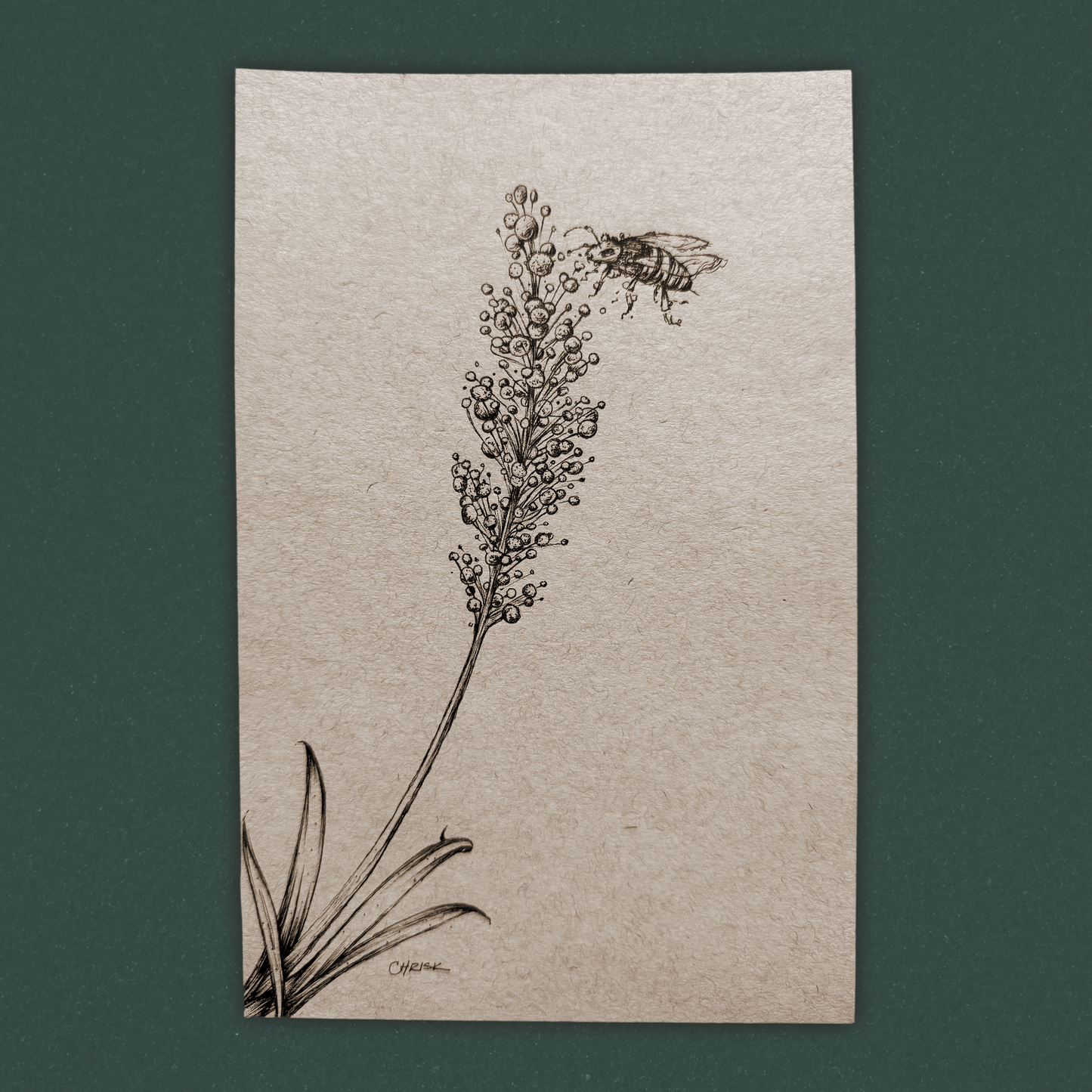 Fresh Pollen - Ink Originals 41