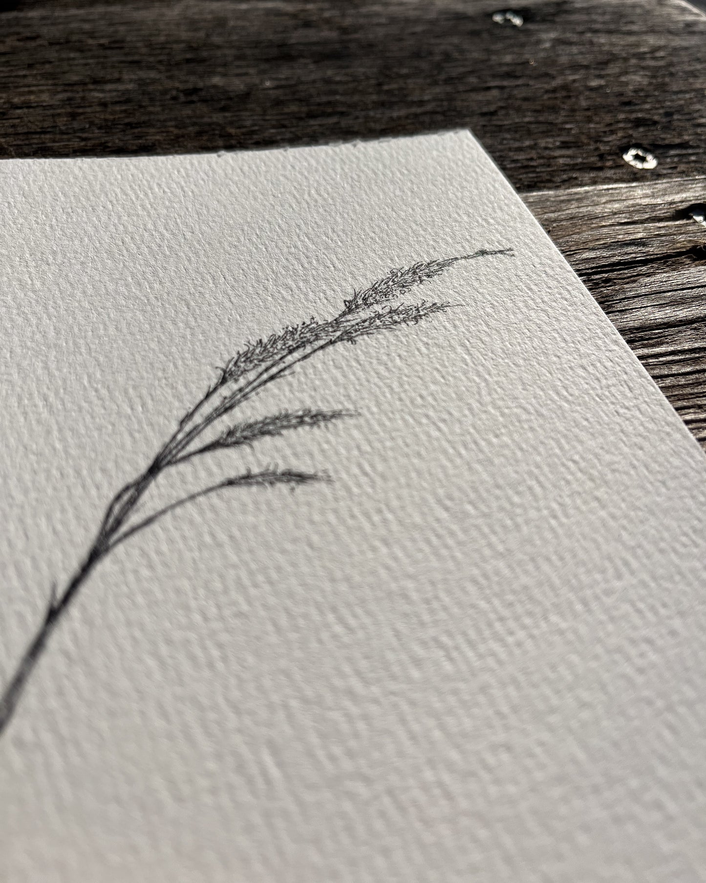 Ink Originals 30 "prairie gusts"