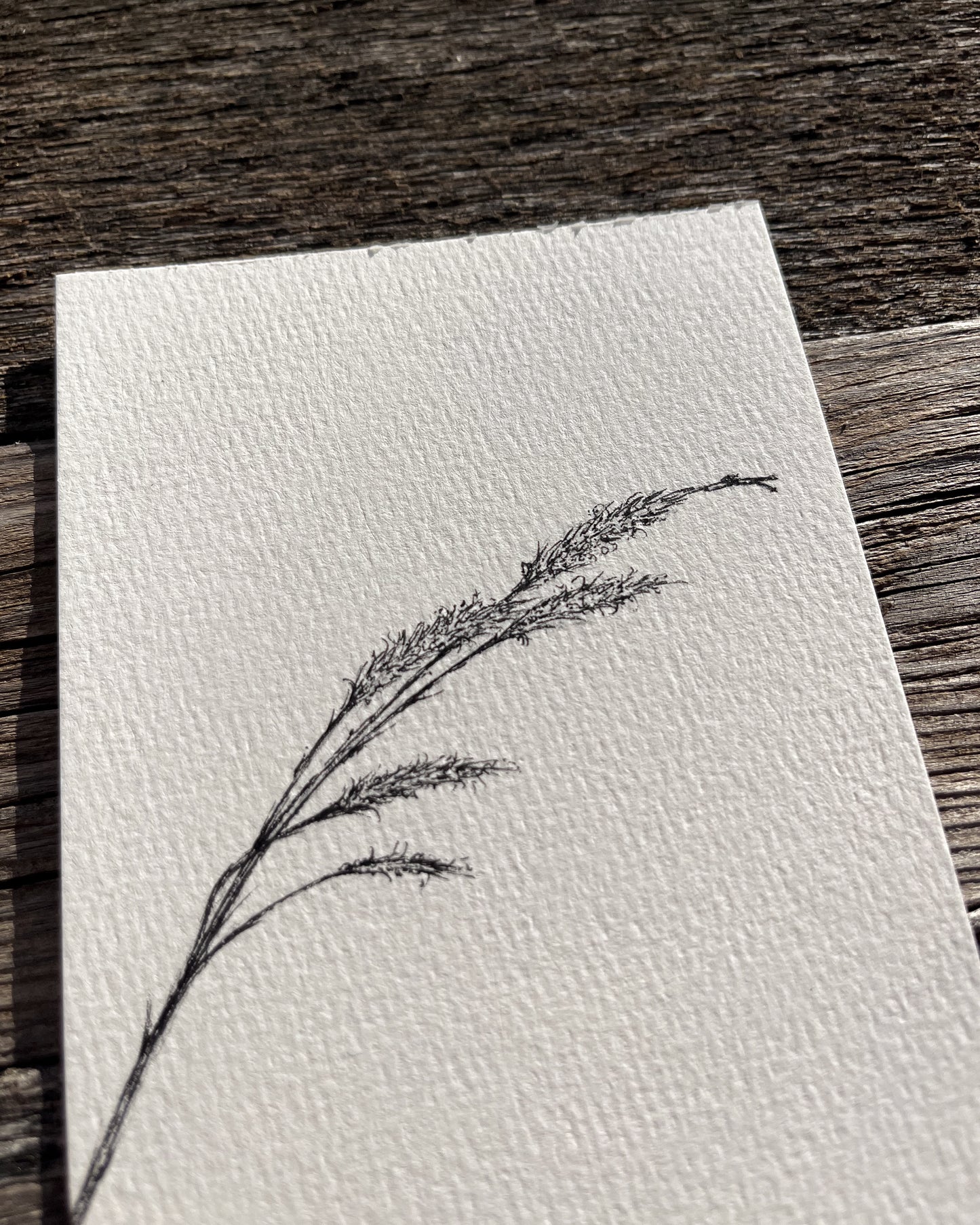 Ink Originals 30 "prairie gusts"