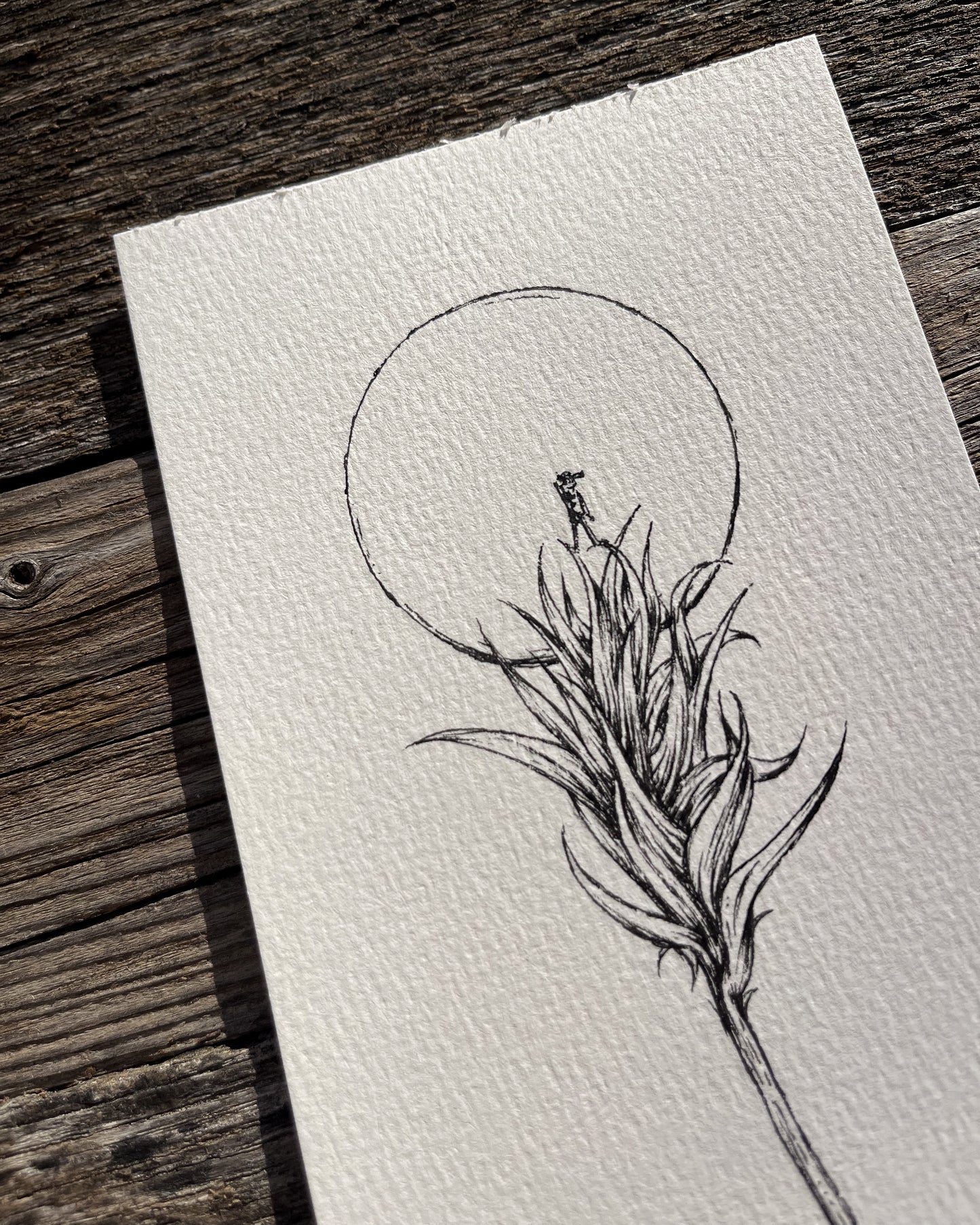 Ink Originals 26 "high ground"