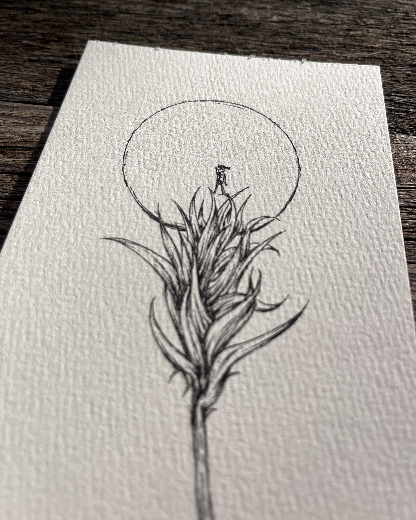 Ink Originals 26 "high ground"