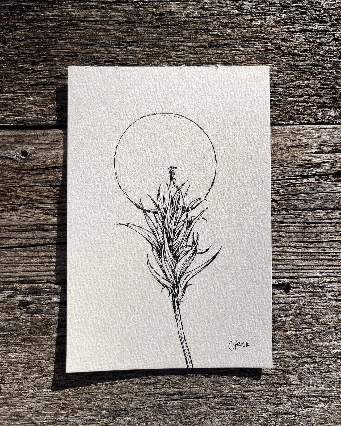 Ink Originals 26 "high ground"