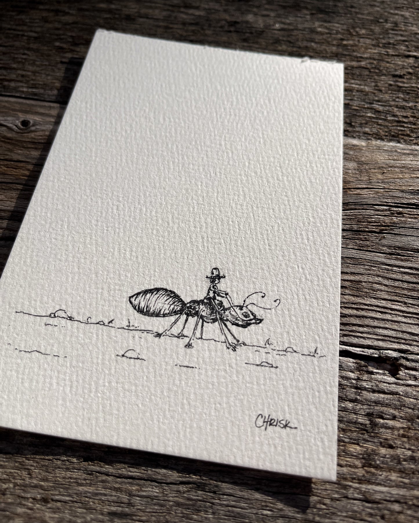 Ink Originals 24 "new cowboy in town"