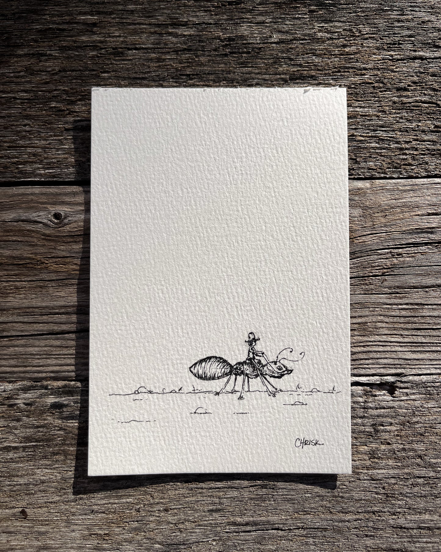 Ink Originals 24 "new cowboy in town"