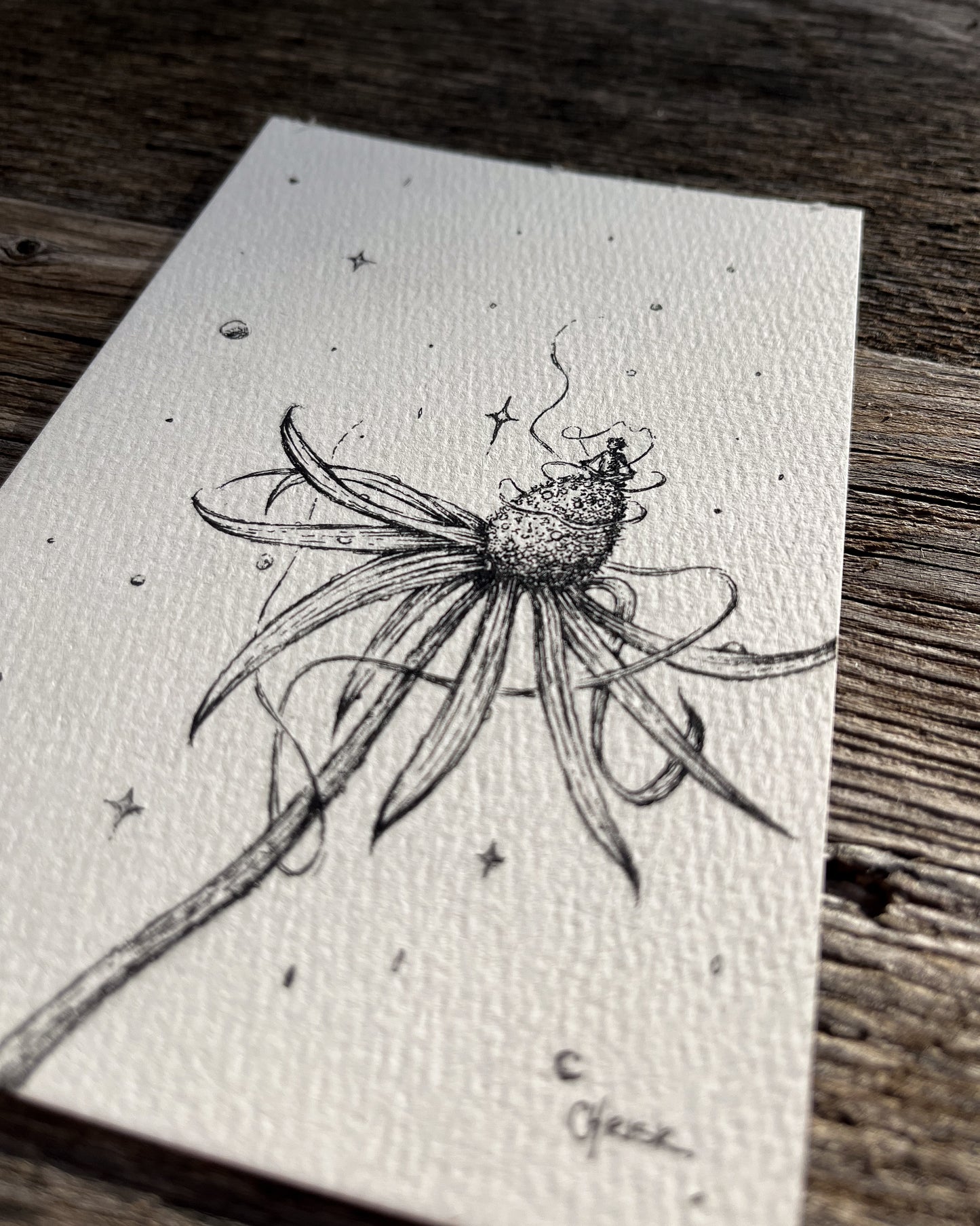 Ink Originals 27 "garden magic"