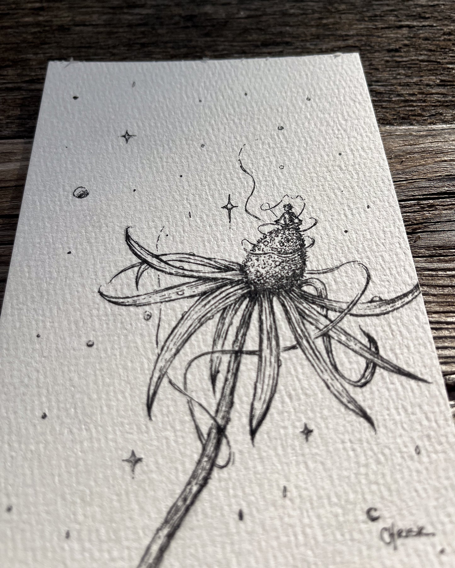 Ink Originals 27 "garden magic"