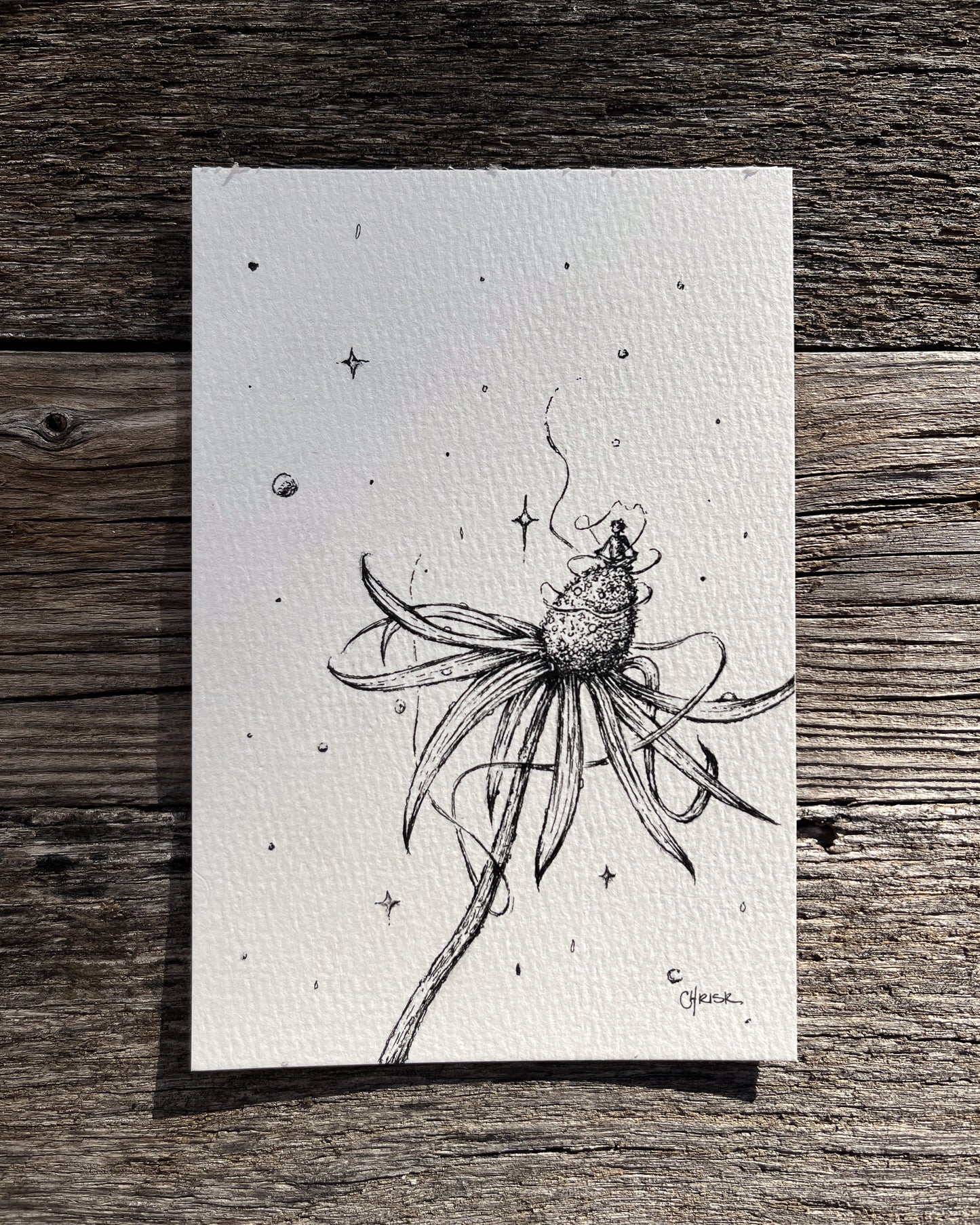 Ink Originals 27 "garden magic"