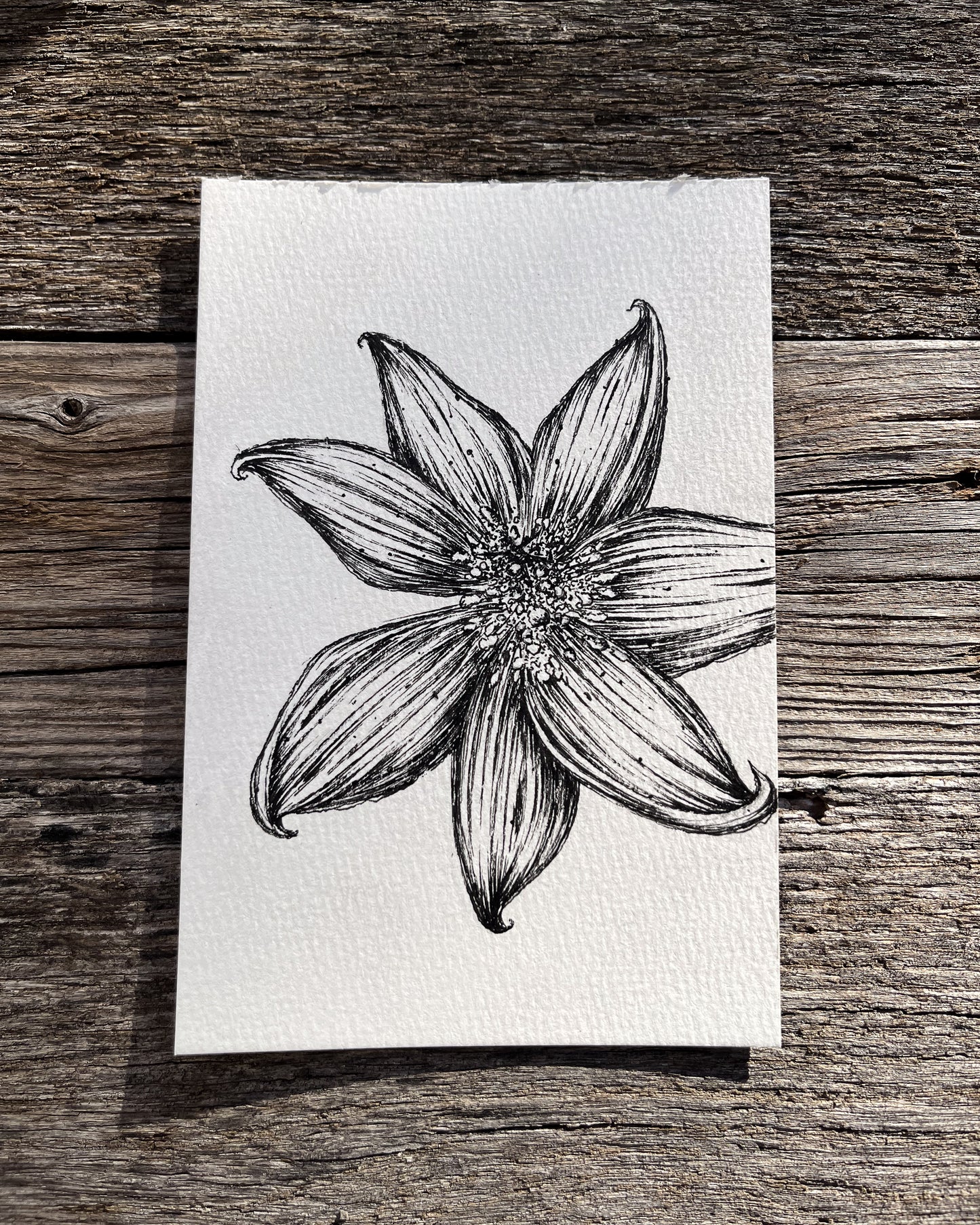 Ink Originals 29 "bed of pollen"