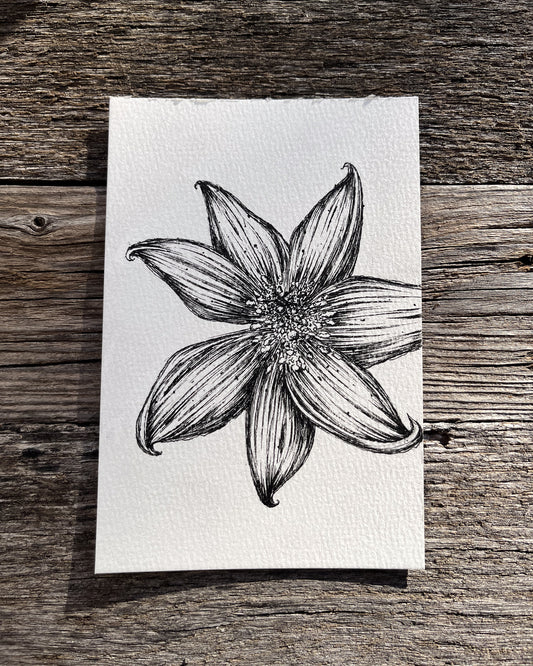 Ink Originals 29 "bed of pollen"