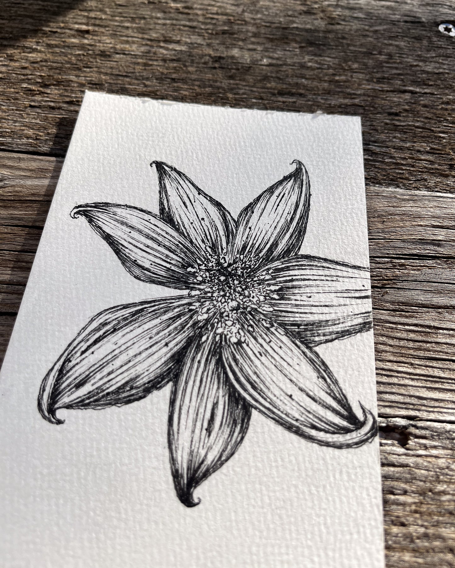 Ink Originals 29 "bed of pollen"