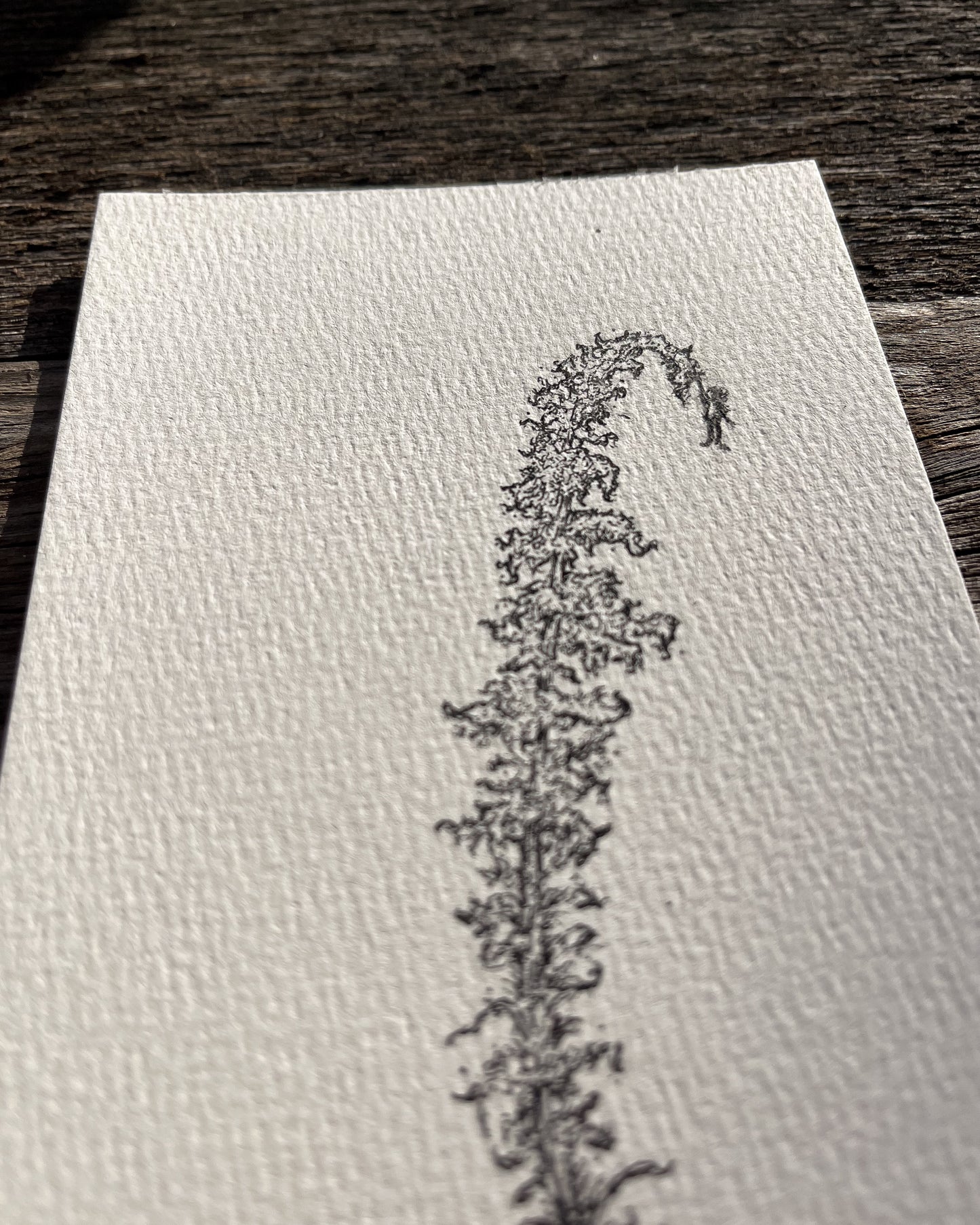 Ink Originals 31 "goldenrod summit"