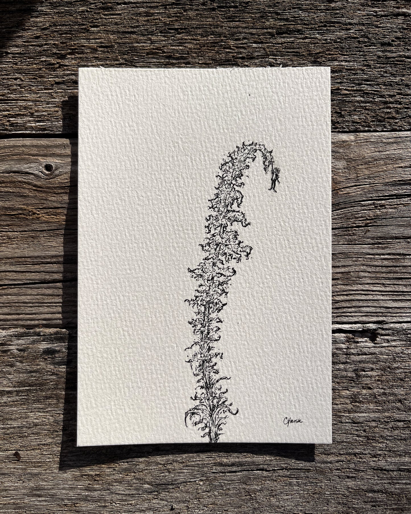 Ink Originals 31 "goldenrod summit"