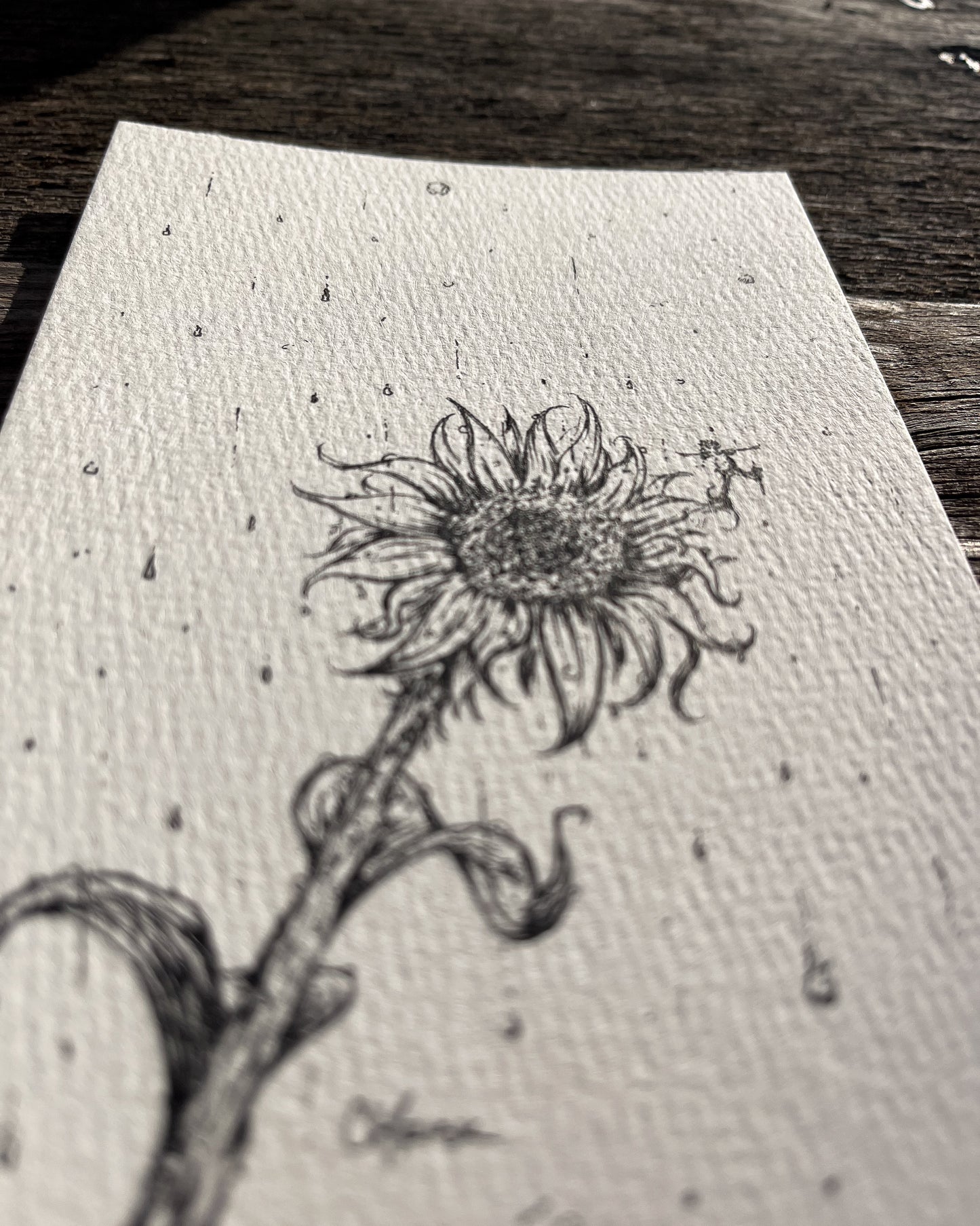 Ink Originals 32 "rain dance"