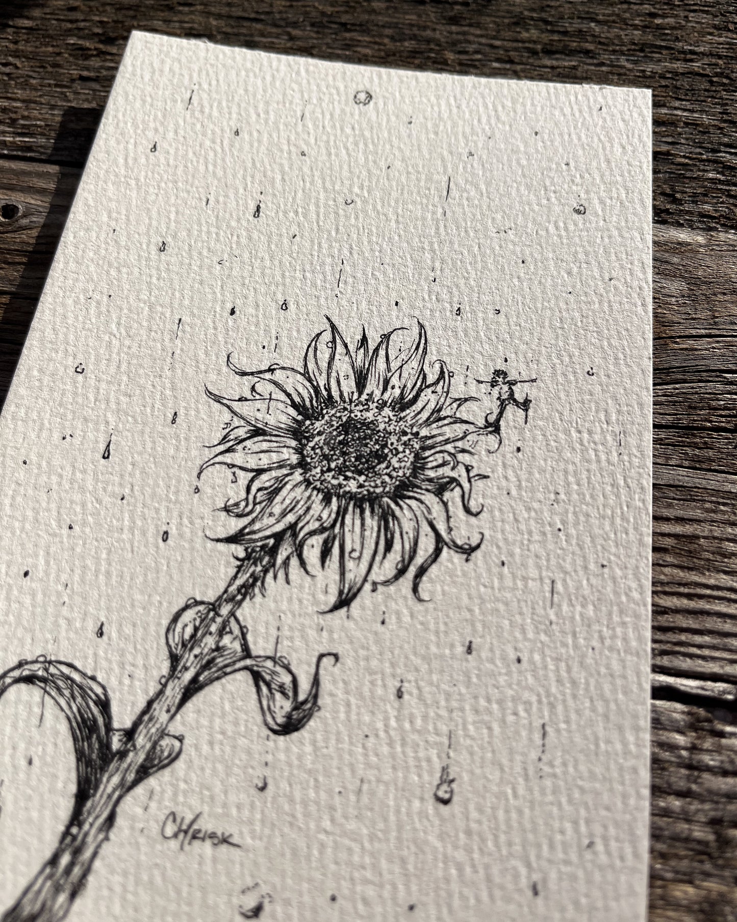 Ink Originals 32 "rain dance"