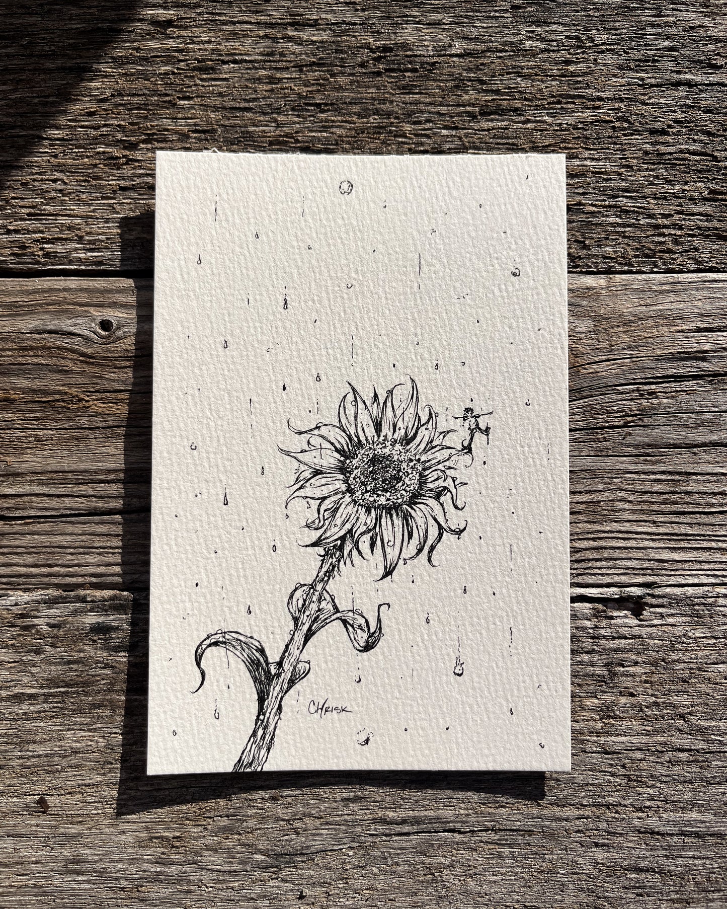 Ink Originals 32 "rain dance"