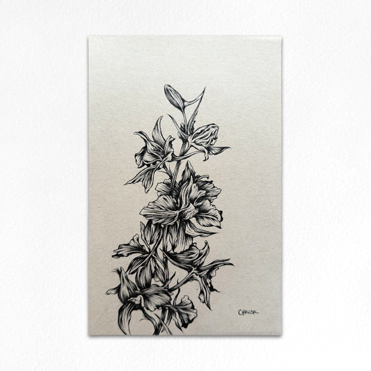 Ink Originals 36 "little larkspur study"
