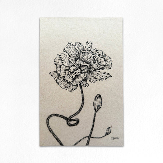 Ink Originals 37 "poppies in bloom study"