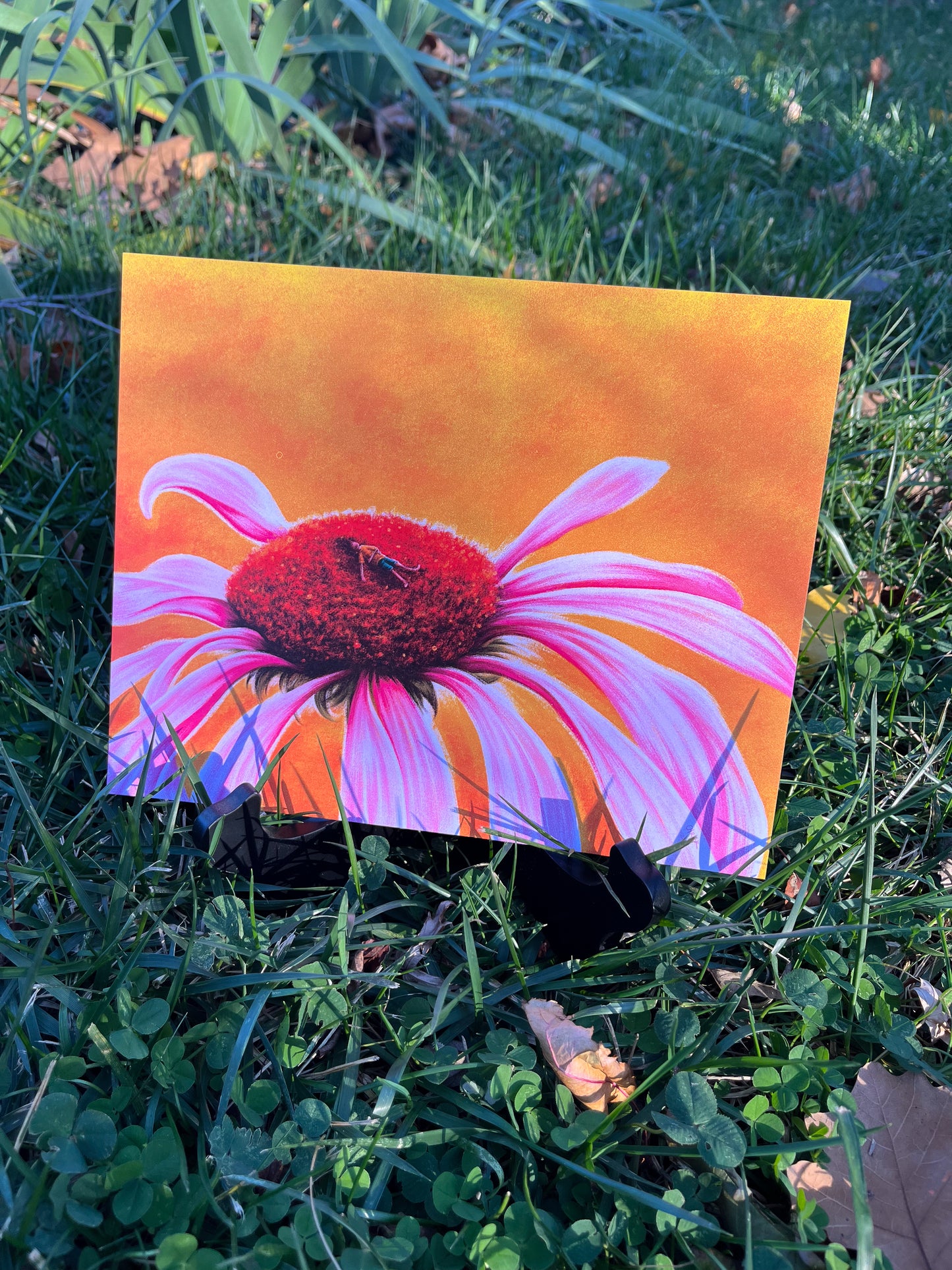 nature naps - Limited Edition Art Print