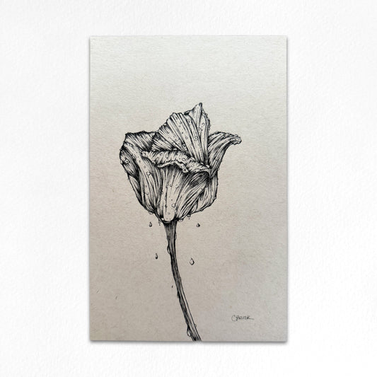 Ink Originals 38 "tulip in the rain study"