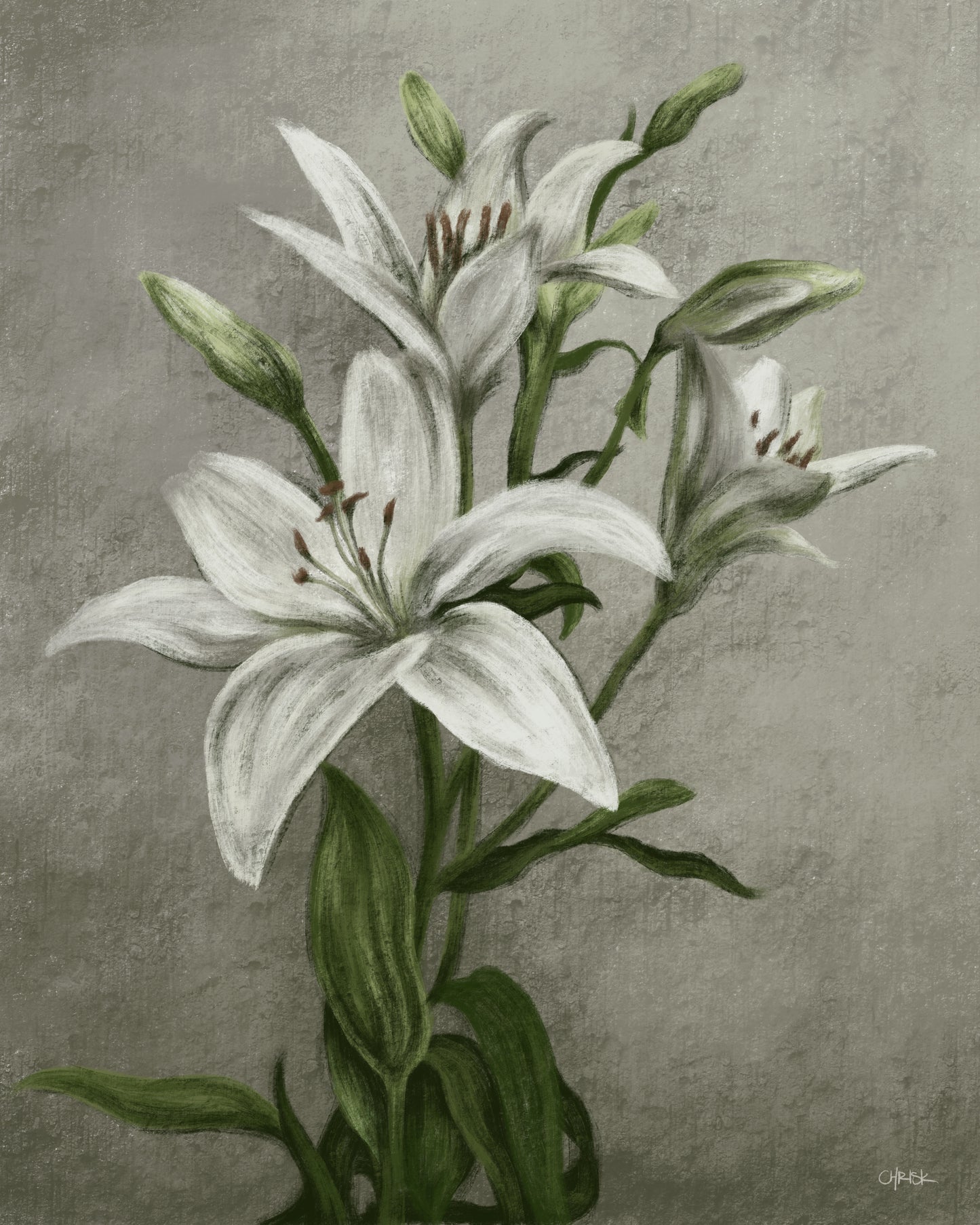 flower study #1 - Limited Edition Art Print