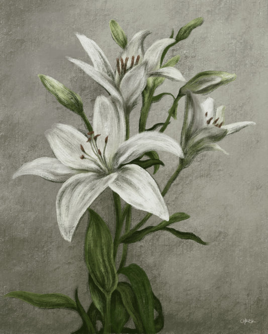 flower study #1 - Limited Edition Art Print