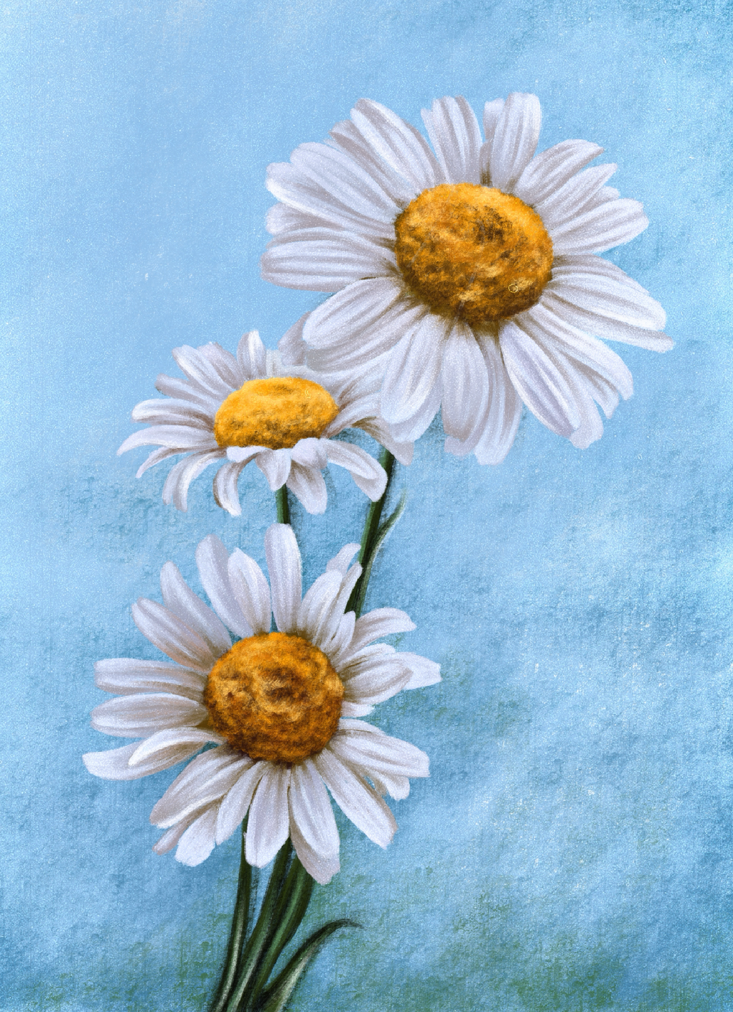 Daisy (April) - Birth Flower Framed Print