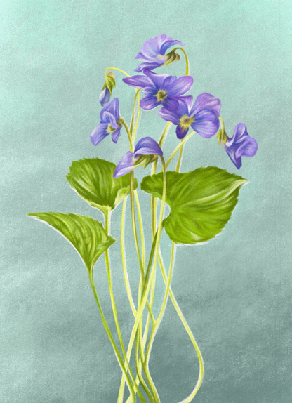 Violet (February) - Birth Flower Card 5x7