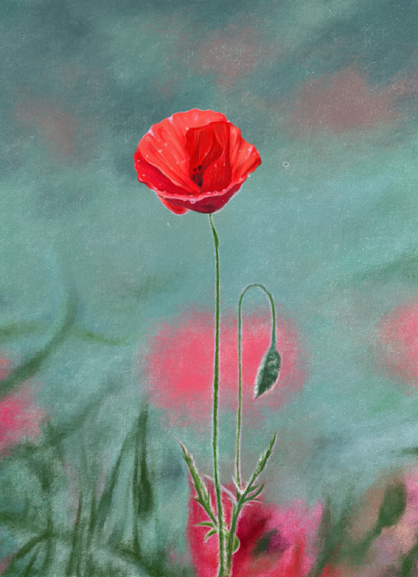 Poppy (August) - Birth Flower Card 5x7