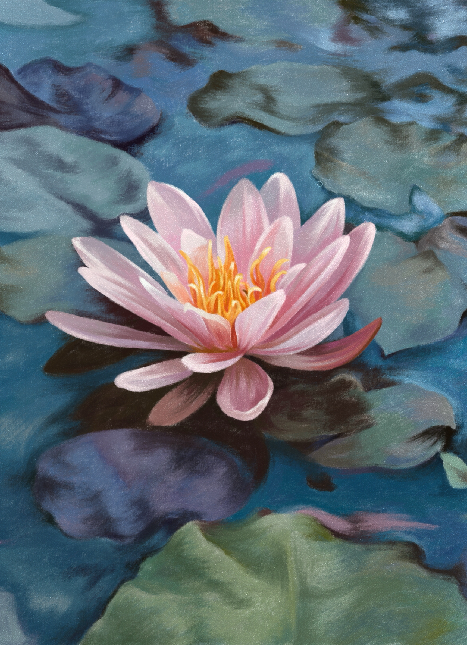 july birth flower: water lily Water Lily (July)