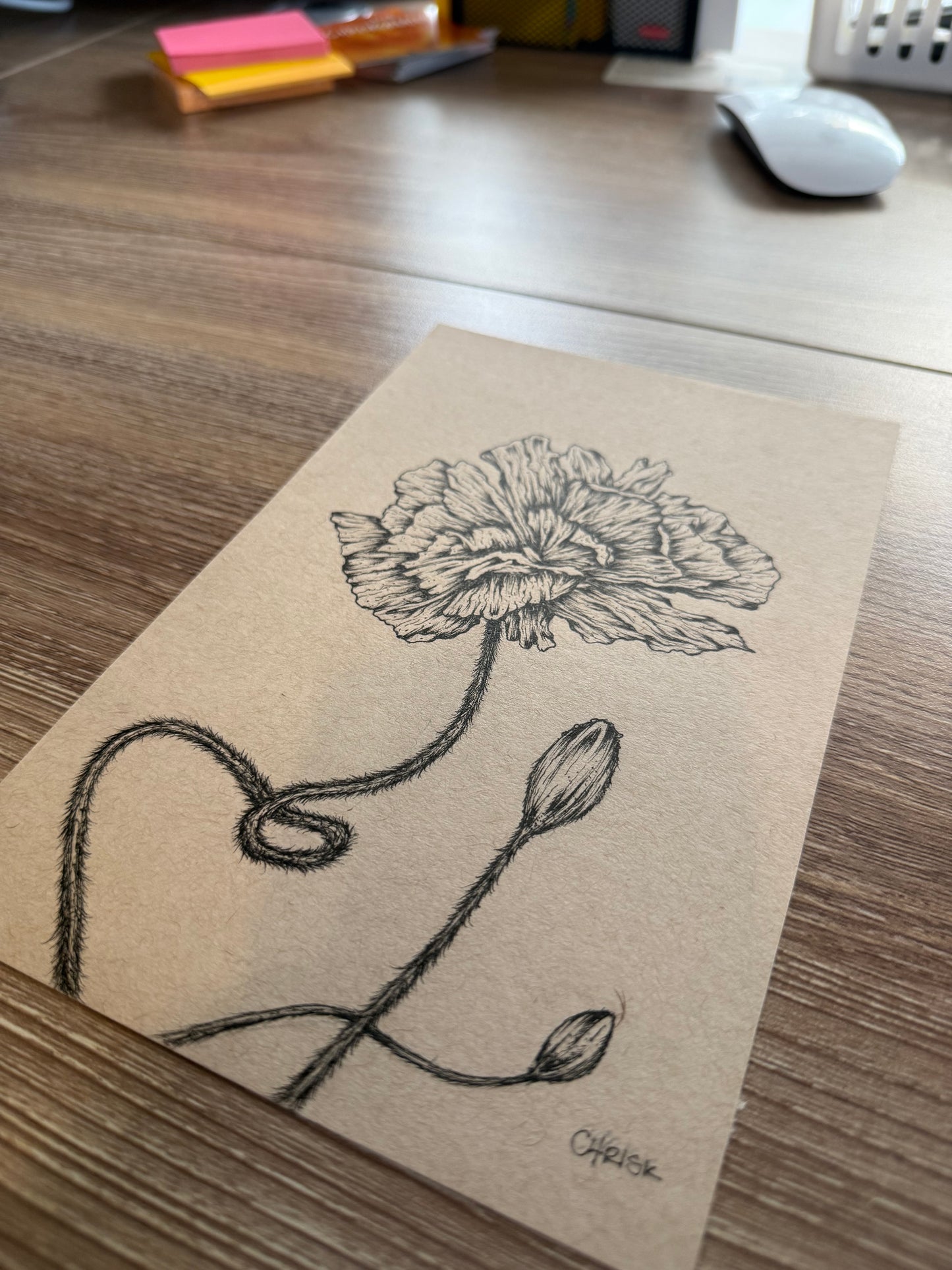 Ink Originals 37 "poppies in bloom study"