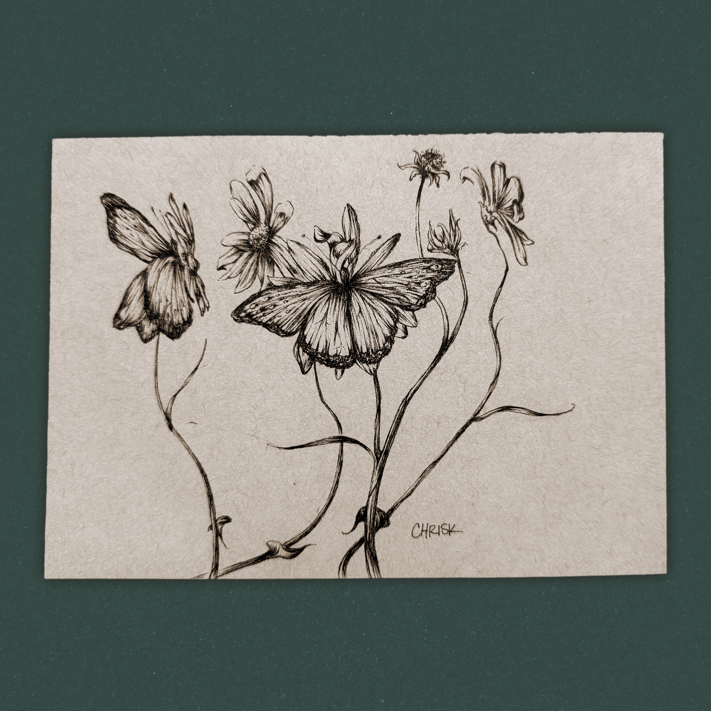 Butterflies and Mexican Sunflowers - Ink Originals 39
