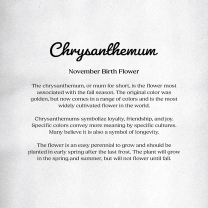 Chrysanthemum (November) - Birth Flower Card 5x7