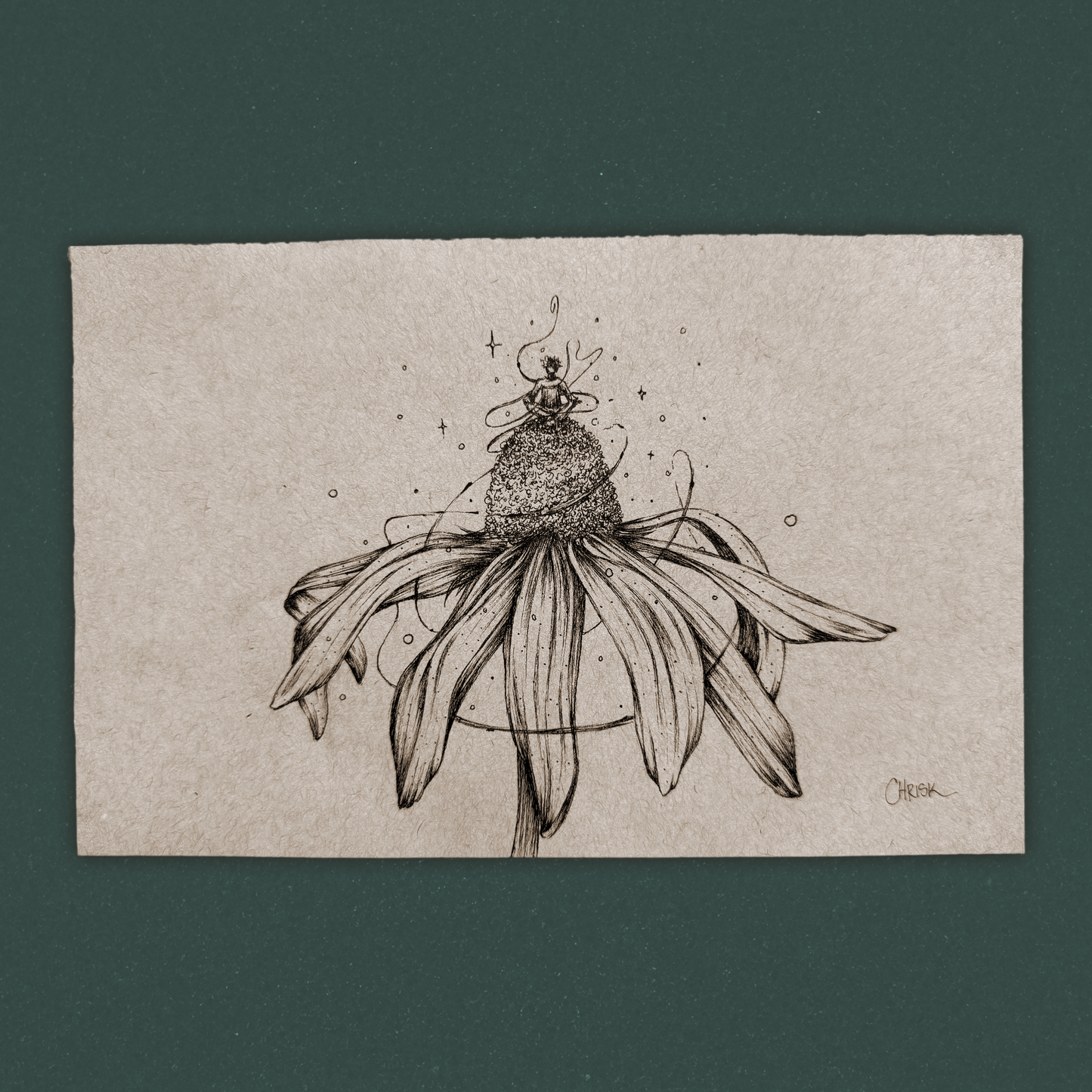 Coneflower Meditation - Ink Originals 50