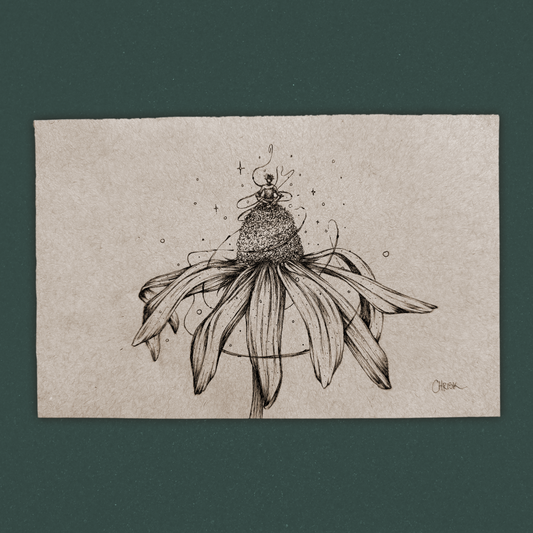 Coneflower Meditation - Ink Originals 50
