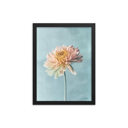 Chrysanthemum (November) - Birth Flower Framed Print