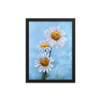 Daisy (April) - Birth Flower Framed Print