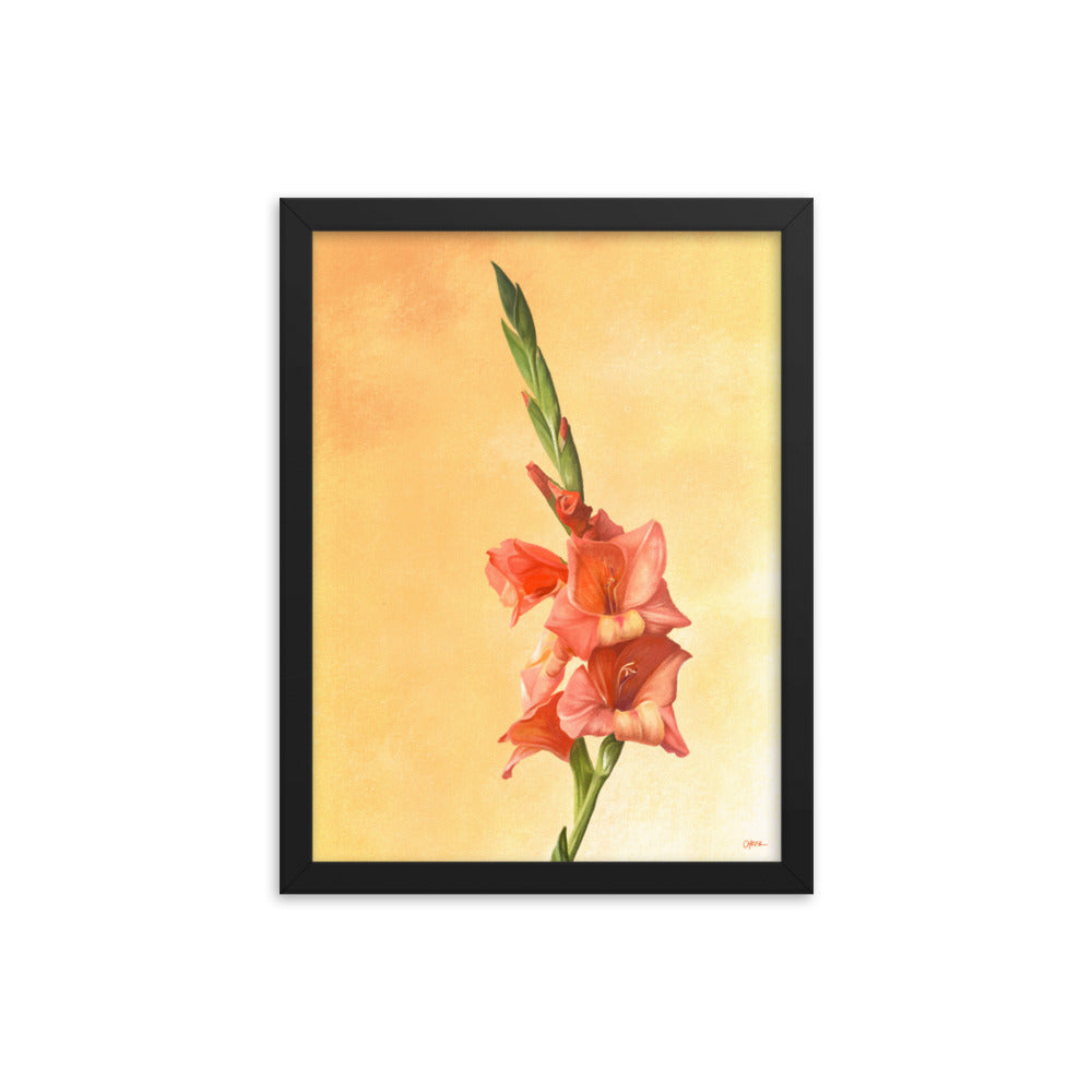 Gladiolus (August) - Birth Flower Framed Print