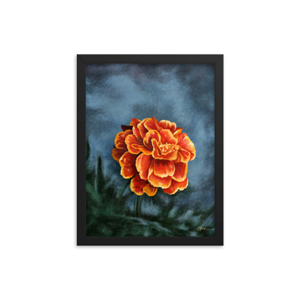 Marigold (October) - Birth Flower Framed Print