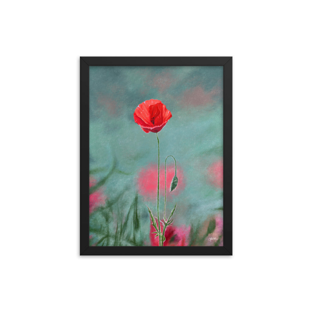 Poppy (August) - Birth Flower Framed Print