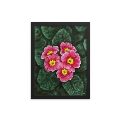 Primrose (February) - Birth Flower Framed Print