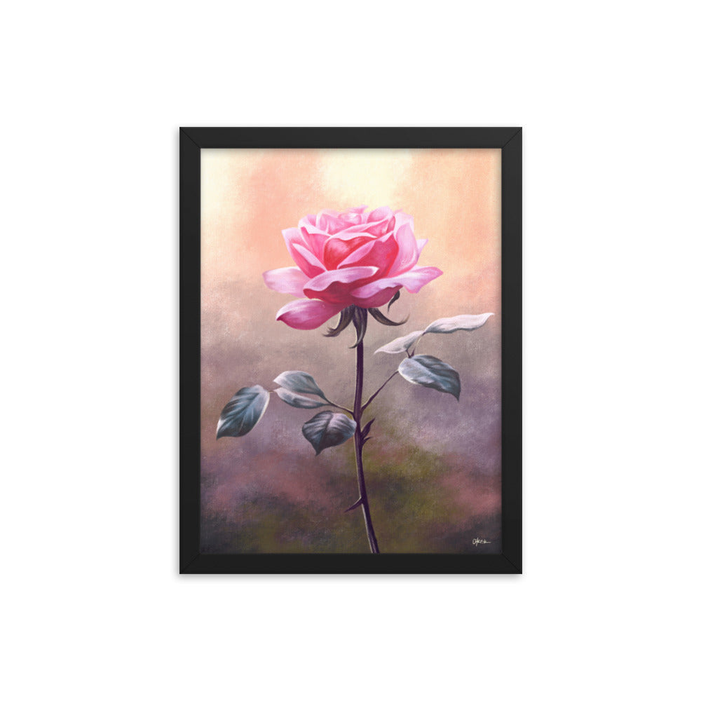 Rose (June) - Birth Flower Framed Print