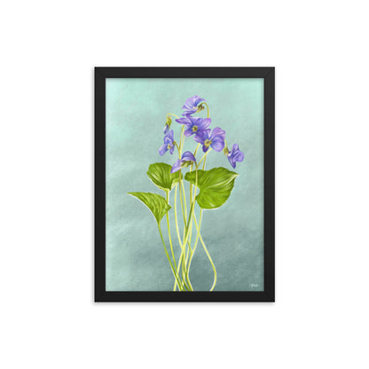 Violet (February) - Birth Flower Framed Print