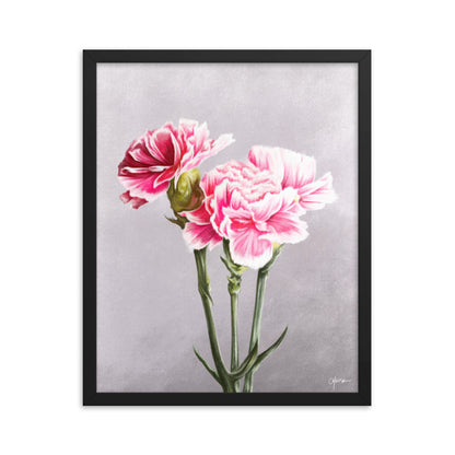 Carnation (January) - Birth Flower Framed Print