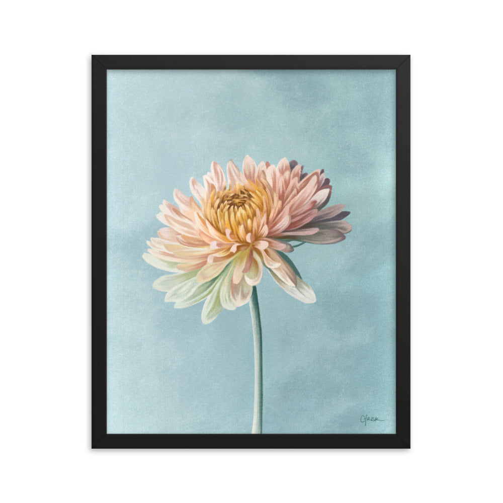 Chrysanthemum (November) - Birth Flower Framed Print