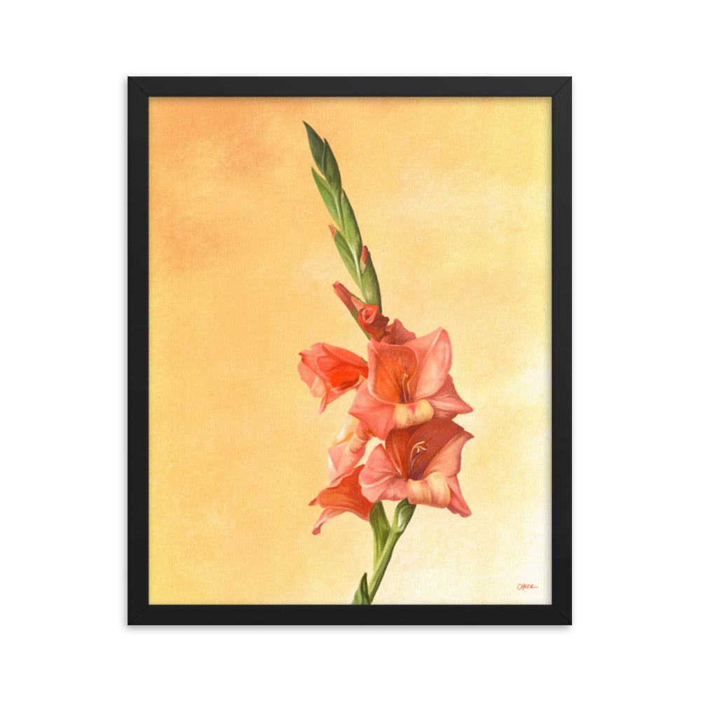 Gladiolus (August) - Birth Flower Framed Print