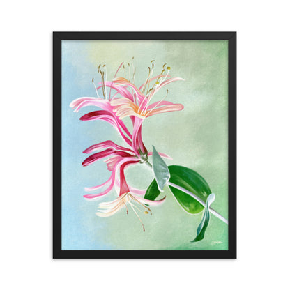 Honeysuckle (June) - Birth Flower Framed Print